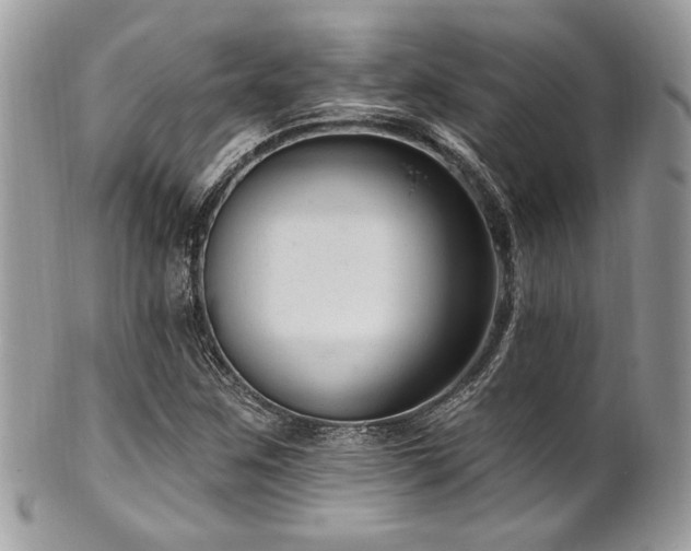 X0000102311259200807251431