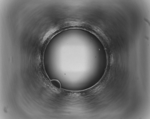 X0000102311261200807251431