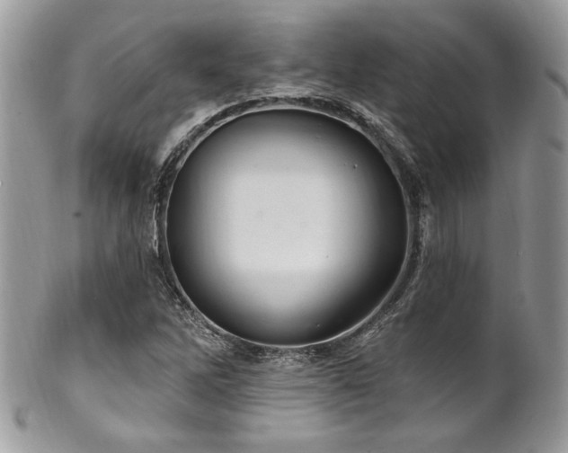 X0000102311262200807251431