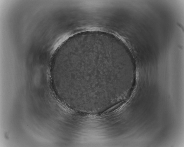 X0000102311263200807251431