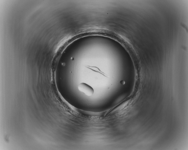 X0000102311267200807251431