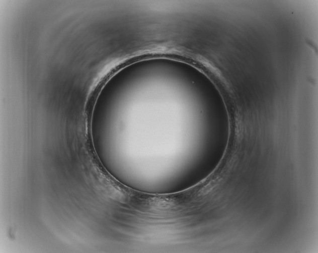 X0000102311270200807251431