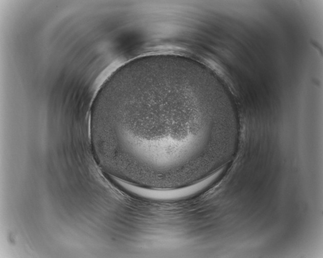 X0000102311275200807251431