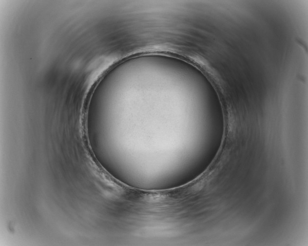 X0000102311278200807251431