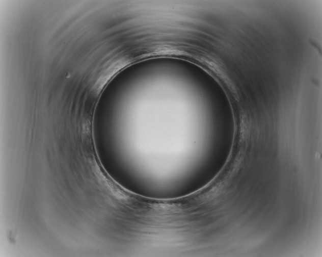 X0000102311281200807251431