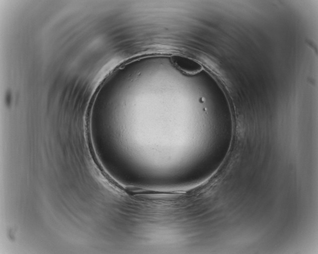 X0000102311283200807251431