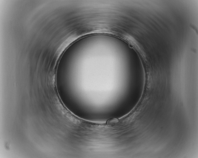 X0000102311284200807251431
