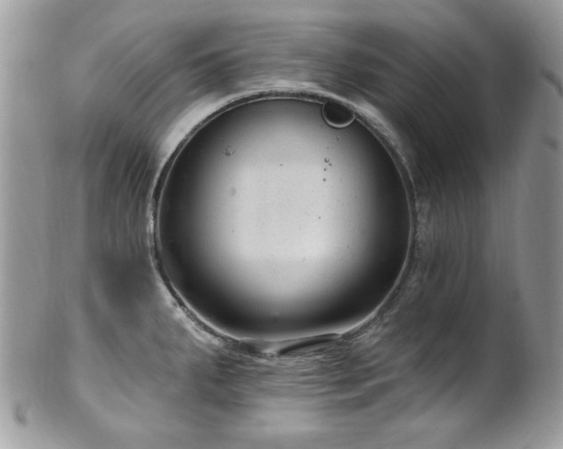 X0000102311287200807251431
