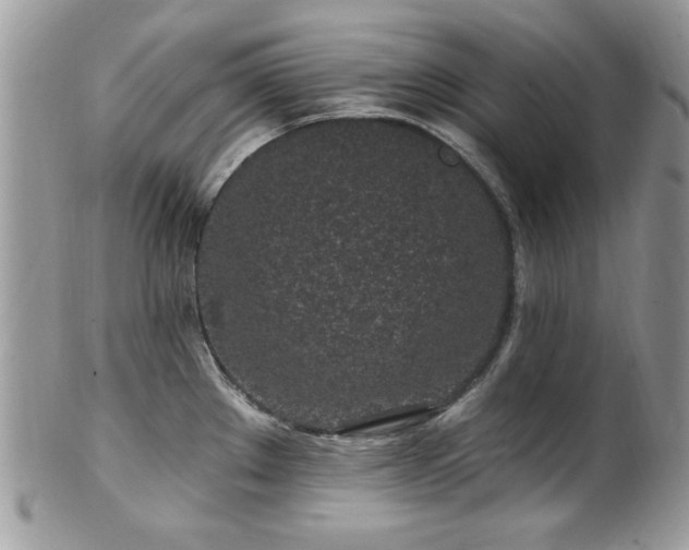 X0000102311289200807251431