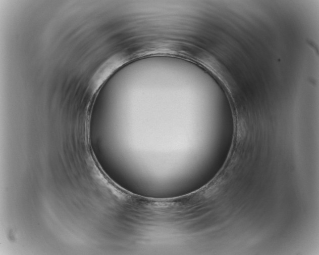 X0000102311290200807251431