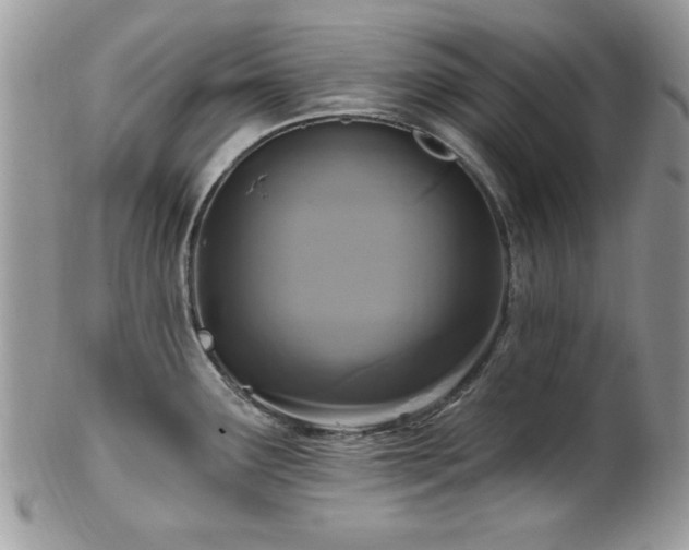 X0000102311291200807251431