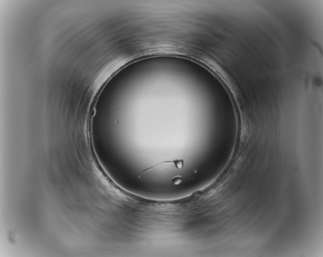 X0000102311293200807251431