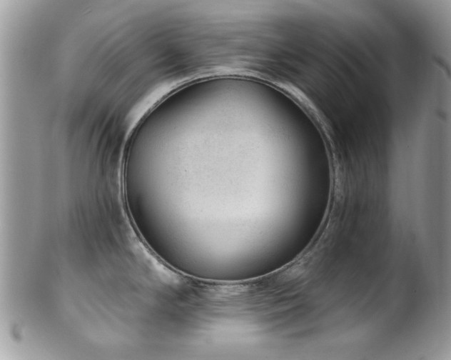 X0000102311294200807251431