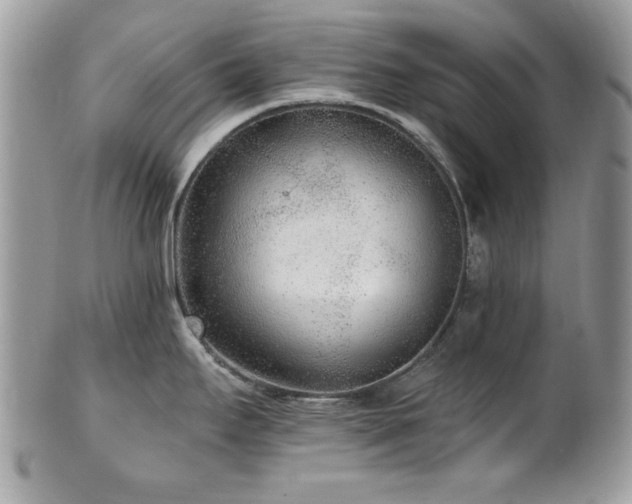 X0000102311295200807251431