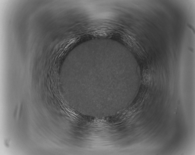 X0000102311297200807251430