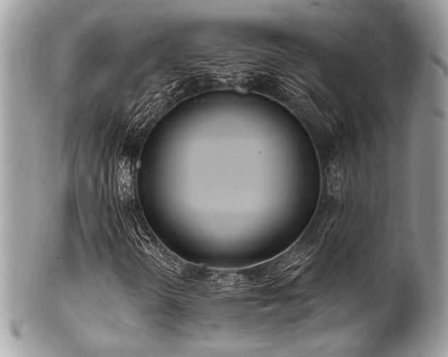 X0000102311298200807251430