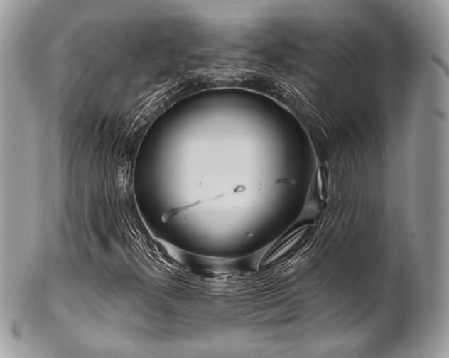 X0000102311300200807251430