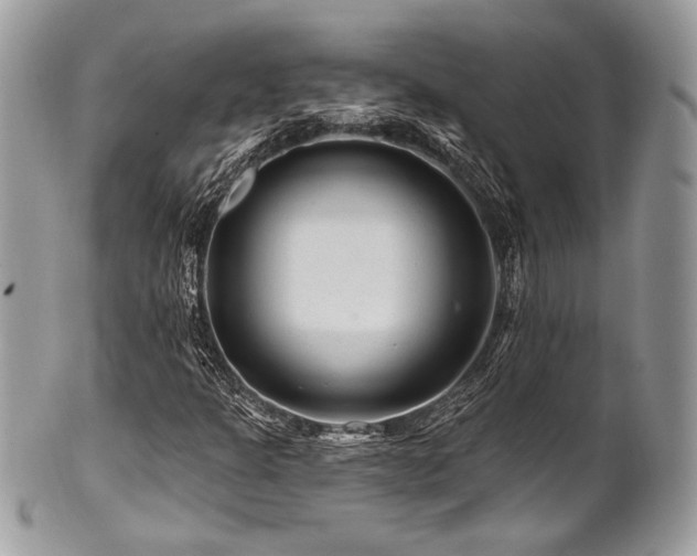 X0000102311301200807251430