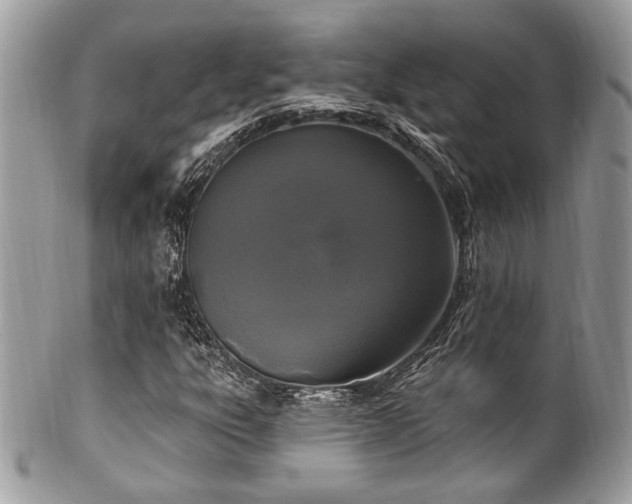 X0000102311303200807251430