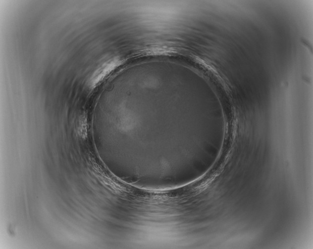X0000102311306200807251430