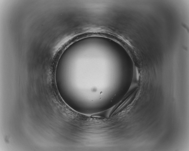 X0000102311311200807251430
