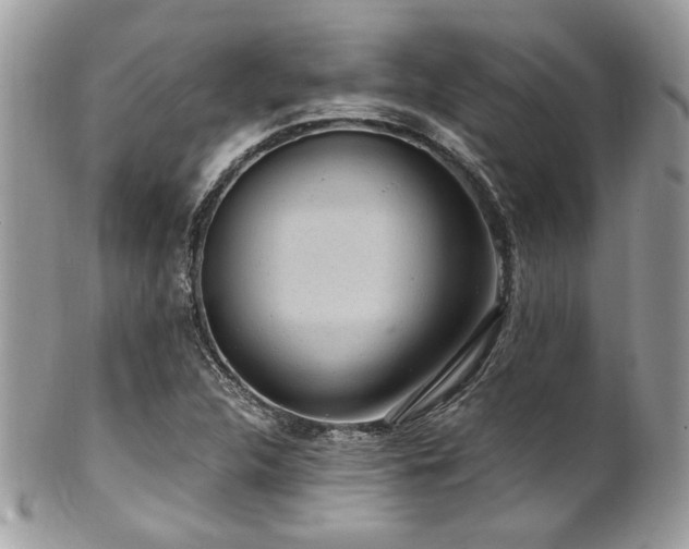 X0000102311312200807251430