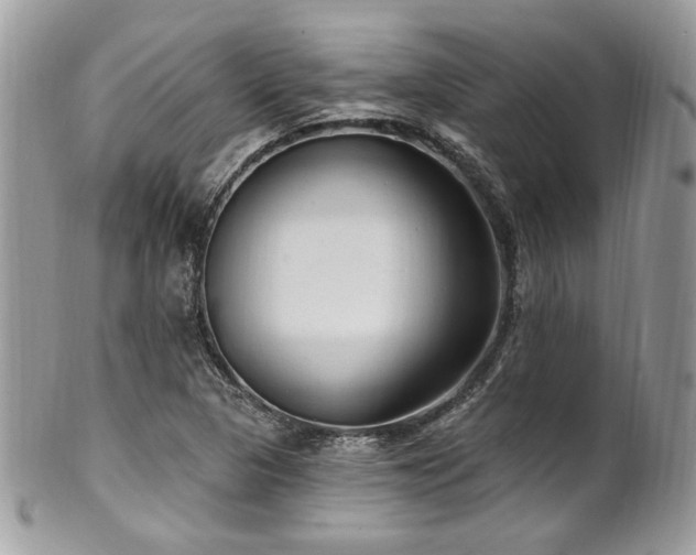 X0000102311313200807251430