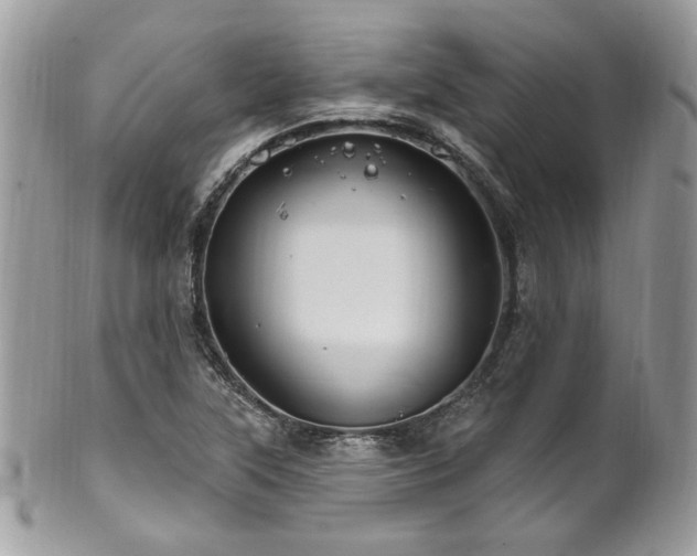 X0000102311315200807251430
