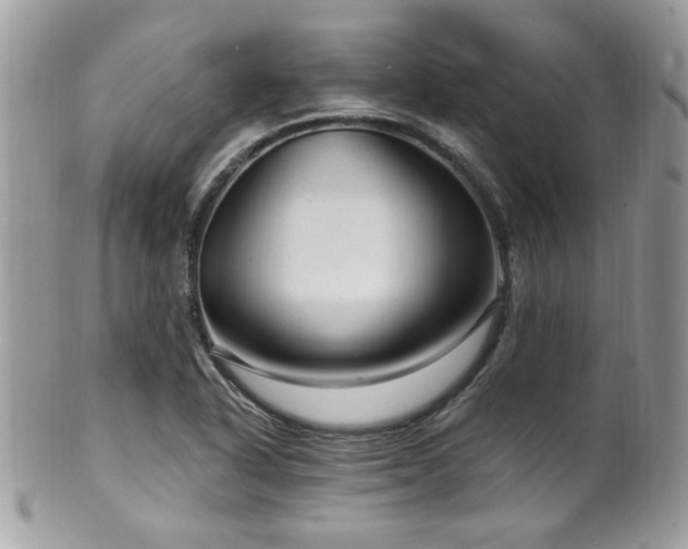 X0000102311318200807251430