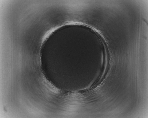 X0000102311319200807251430