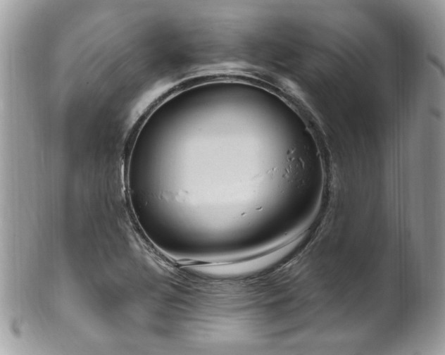 X0000102311320200807251430