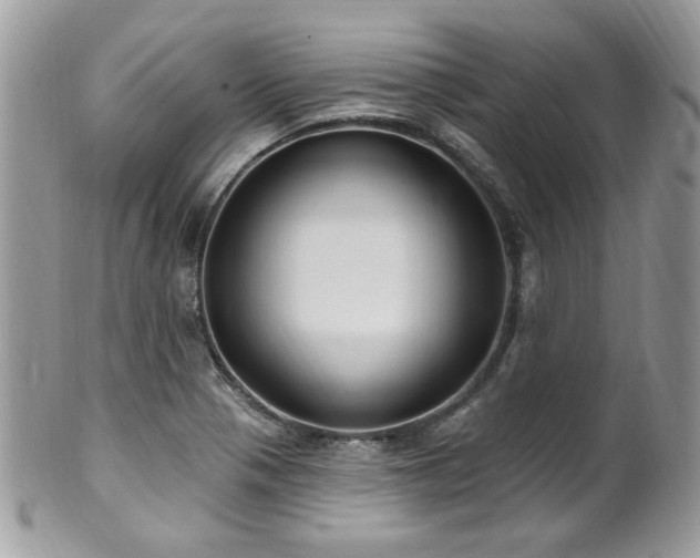 X0000102311321200807251430