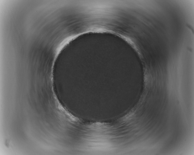 X0000102311327200807251430