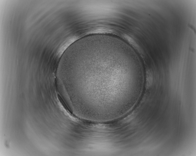 X0000102311329200807251430
