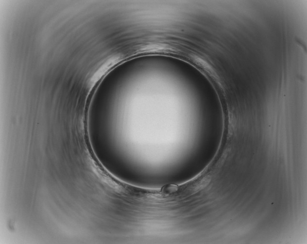 X0000102311330200807251430
