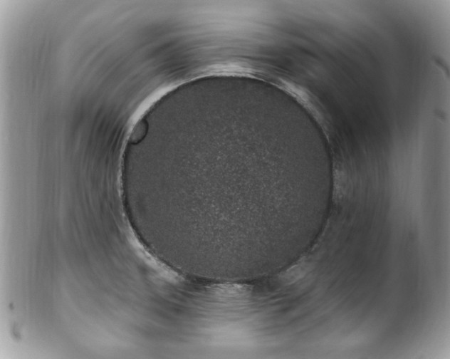 X0000102311331200807251430