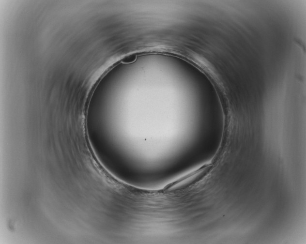 X0000102311332200807251431