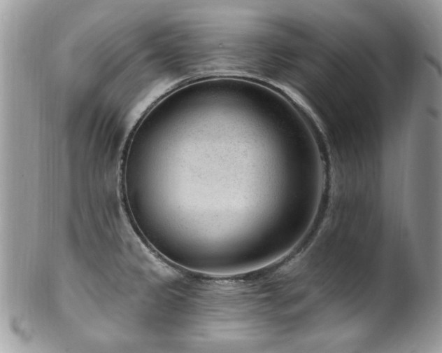 X0000102311333200807251431