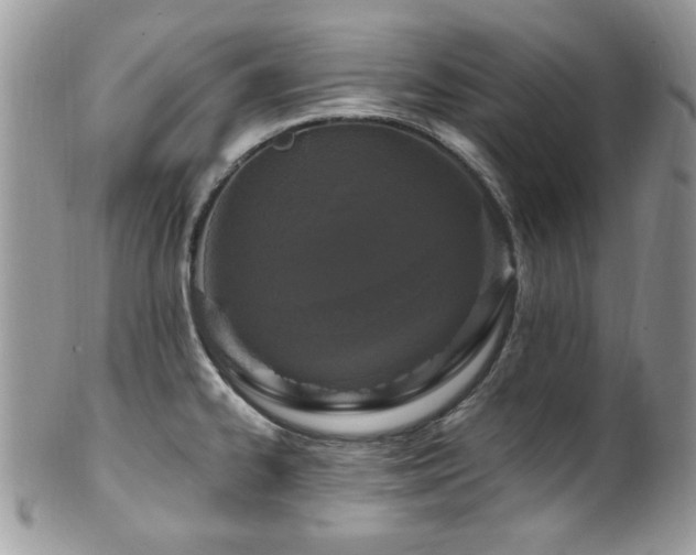 X0000102311334200807251431