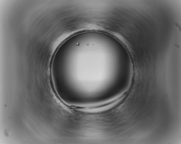 X0000102311335200807251431