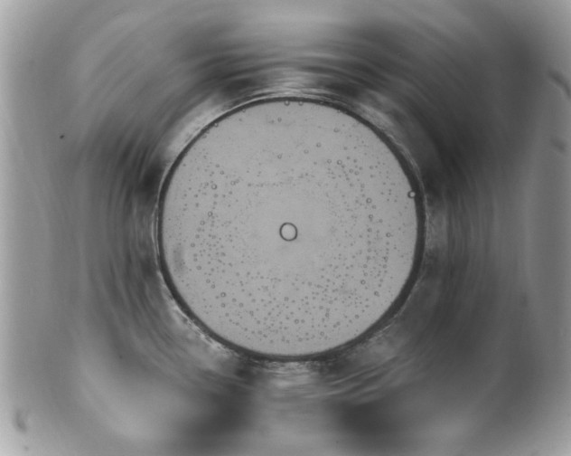 X0000102311338200807251431