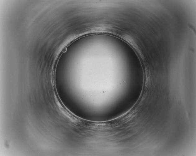 X0000102311342200807251431
