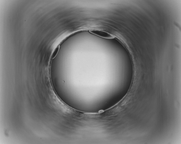 X0000102311344200807251431