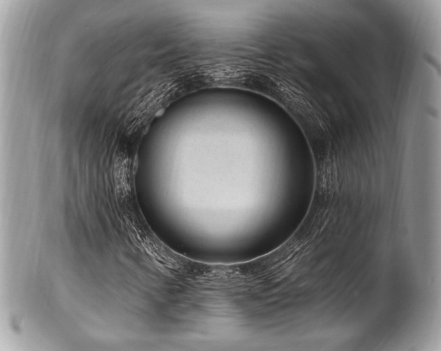 X0000102311346200807251430