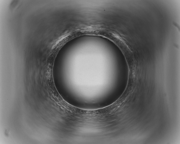 X0000102311350200807251430