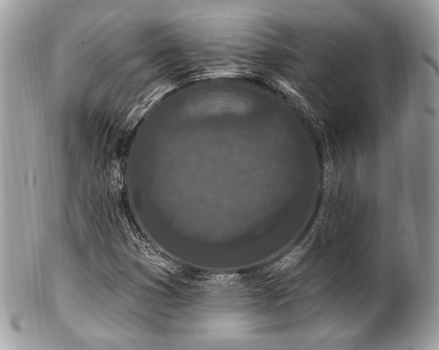 X0000102311353200807251430