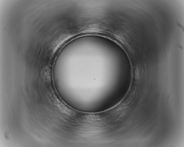 X0000102311356200807251429
