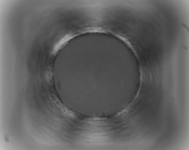 X0000102311359200807251429