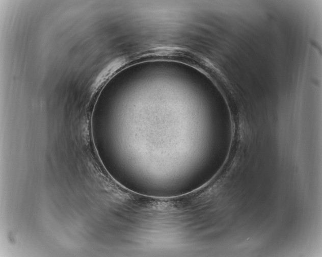 X0000102311362200807251429