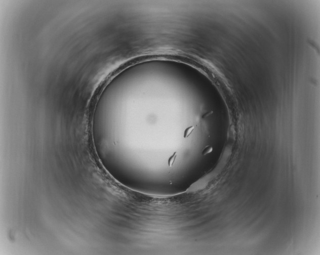 X0000102311364200807251429
